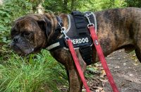 77c64fa3-c5c1-4963-b0ac-e5a93c20f53a