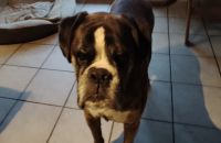 7c776618-70ec-4a52-8450-1008d3c60e46(2)