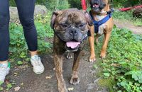 838747f1-938f-4eaa-af40-62a1678fb032