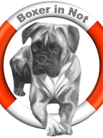 Logo_BiN_2012