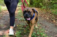 deee3c80-779a-4b50-b25a-8a05a4430cfb